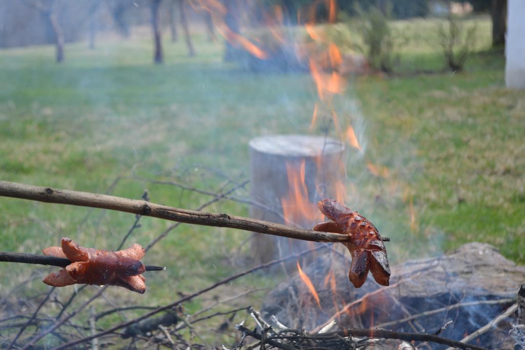 Chalupa Pod Klepacem Králíky Екстериор снимка